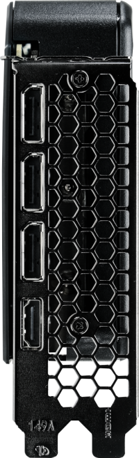 Palit GeForce RTX 5060 Dual OC - Outputs