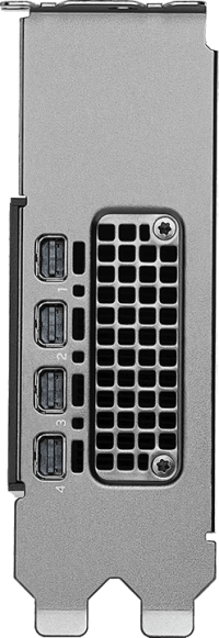 PNY RTX PRO 2000 Blackwell Bulk - Outputs