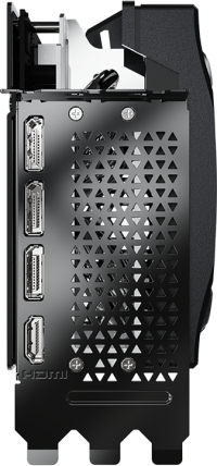 PNY GeForce RTX 5090 Triple Fan - Outputs